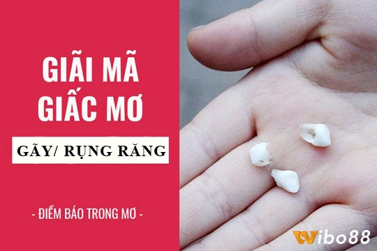 Theo chân Wibo88 tìm Chiêm bao nằm ngủ mơ thấy rụng răng có điềm báo 