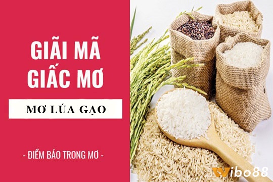 Giấc mơ thấy thóc đánh đề con gì mang lại điềm báo gì liên quan tới đánh lô đề