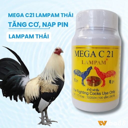 Thuốc Mega C21 có khả năng cung cấp các loại vitamin thiết yếu cho gà đá