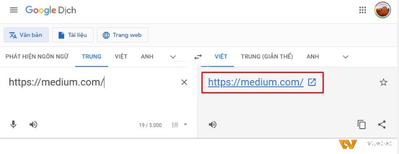 Google Dịch là công cụ hữu ích để truy cập wibo88